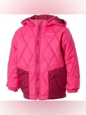 PATAGONIA Detachable Hooded Full Zipper Long Sleeve Puff Rider Jacket